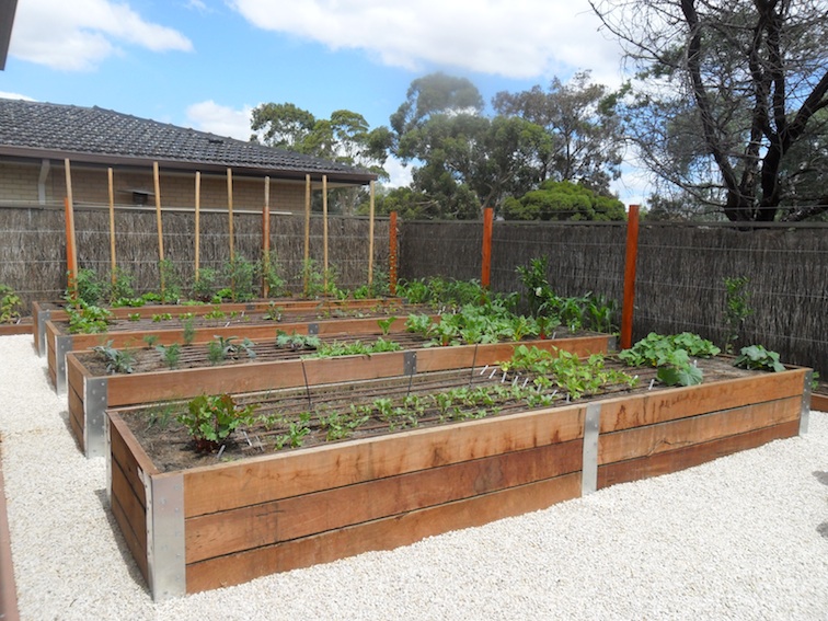 timber garden box